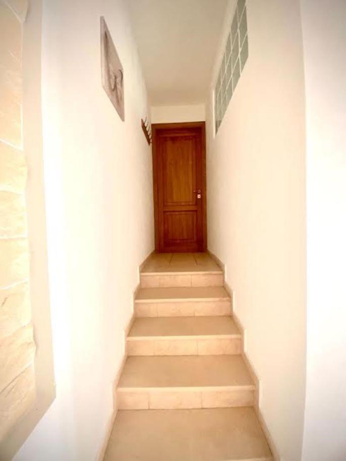 Appartamento Vacanze Sofia House Capannori Dış mekan fotoğraf